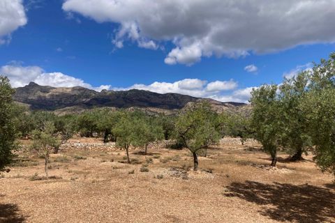 Landejendom i El Perello, Tarragona, El Perello - € 83.000 | Ref: Finca Gran Inti - foto 24